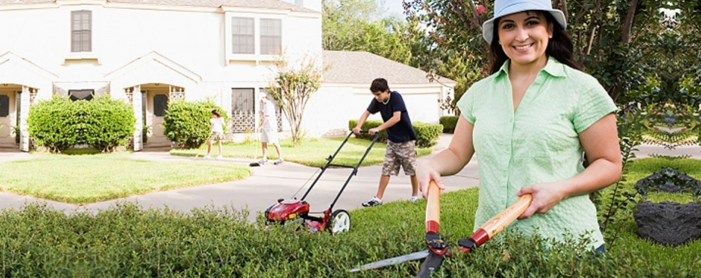 [Image: I will create garden in your home]